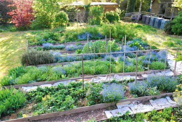 Potager en permaculture Gouttes de Vert