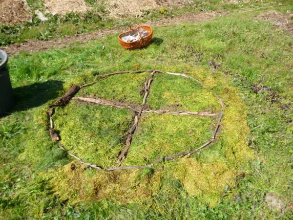 Potager Gouttes de vert