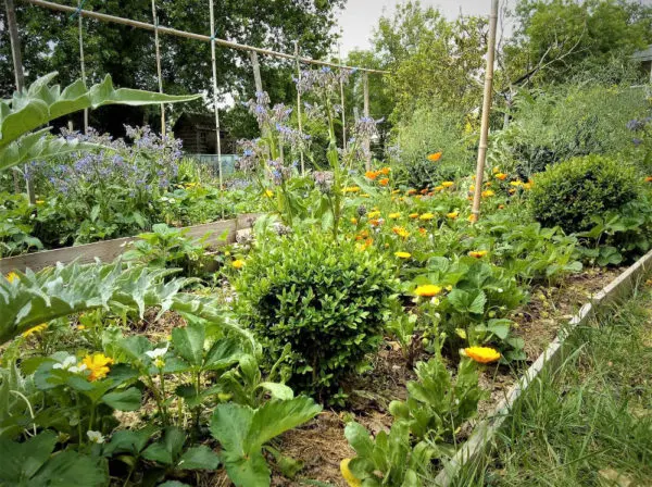 R&eacute;alisations Gouttes de Vert