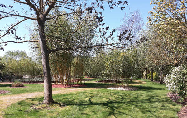 Arboretum des Pépinières Jean Huchet