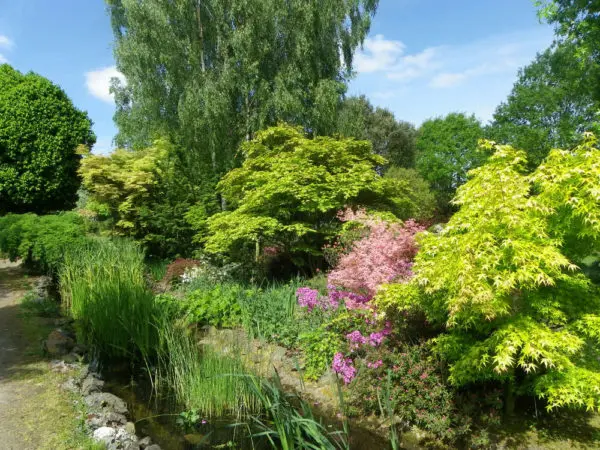 Arboretum des Pépinières Jean Huchet