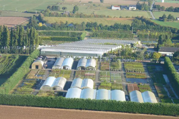 Les Pépinières Jean Huchet