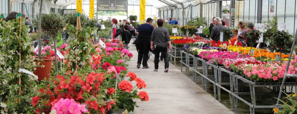 Les serres de vente d'Horti Sologne