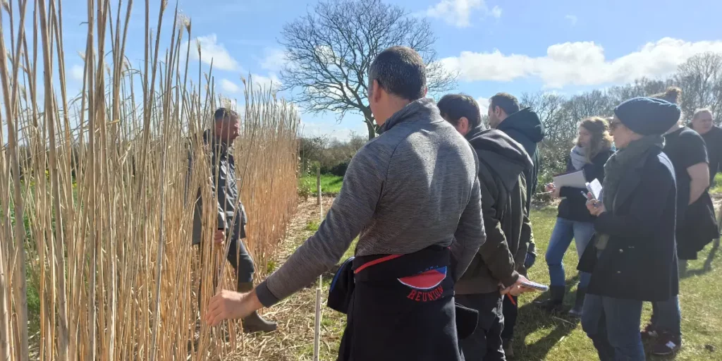 Coaching Jardins Kit'Éco
