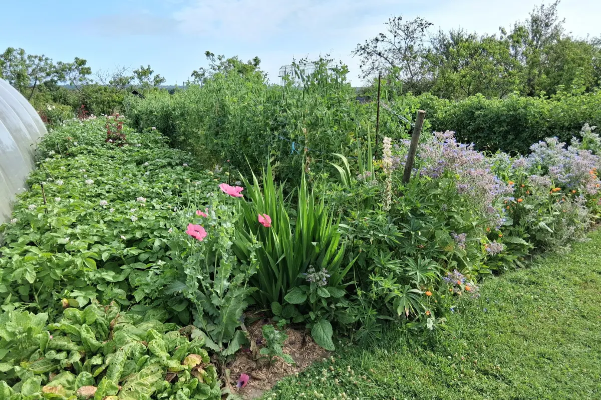 Les Jardins Kit'Éco