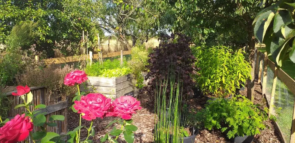 Les jardin potagers des Jardins Kit'Eco