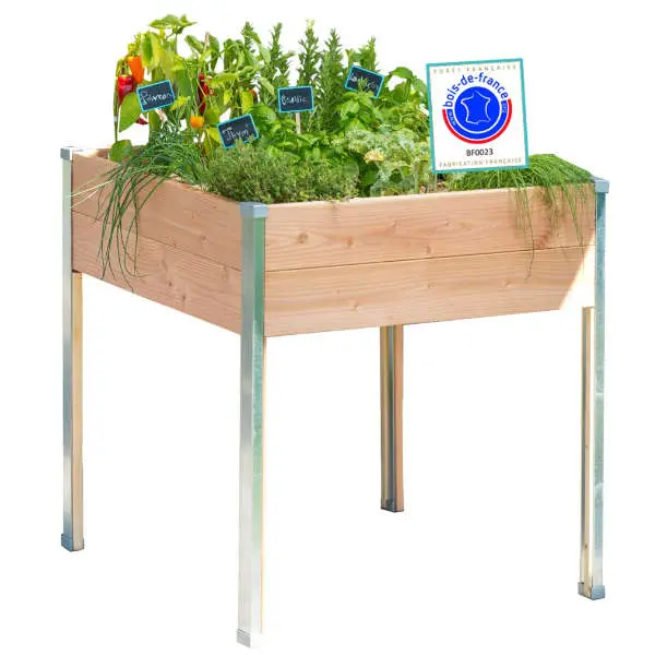 Carré potager sur pied