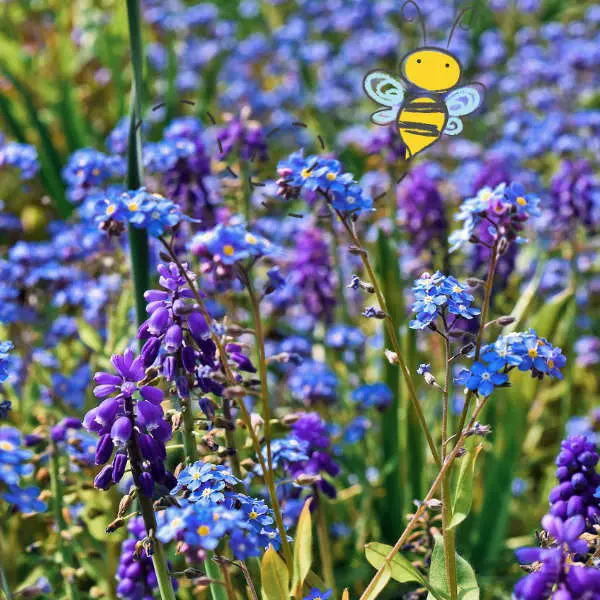 Champ de bonbons pour abeille