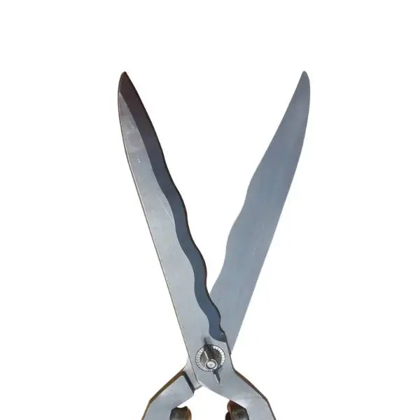 Cisaille taille haie
