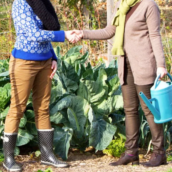 Contrat de prêt de jardin