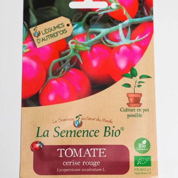 Coffret jardin pour enfants - Les P'tites Mains dans la Terre – Image 5