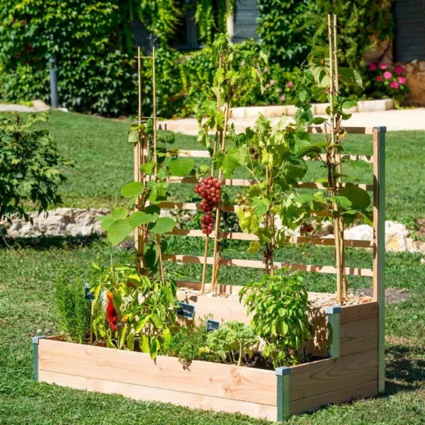 Jardinière potagère en bois