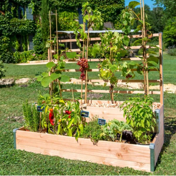 Jardinière potagère en bois à deux étages