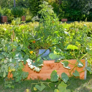 Keyhole Garden