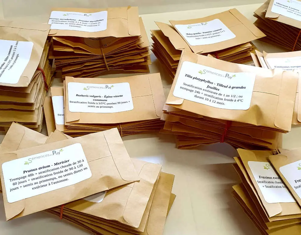 Mise en sachet aux Semences du Puy