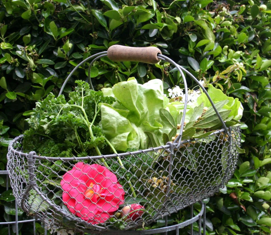 Panier de récoltes en grillage