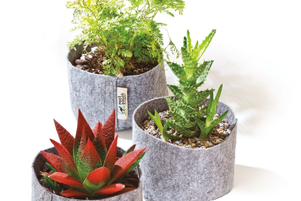 Root Pouch