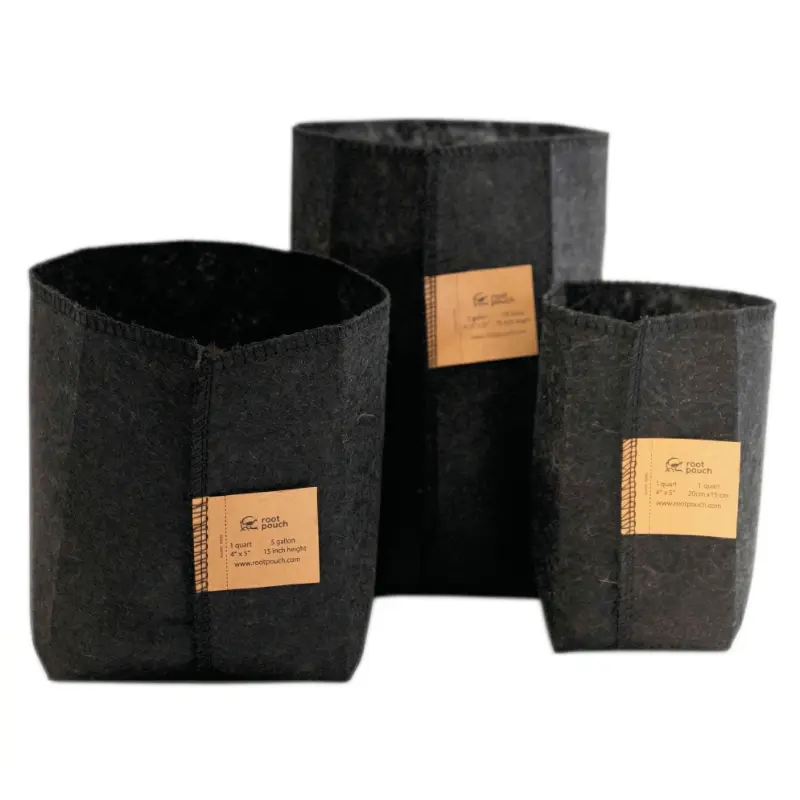 Root Pouch noir spécial semis