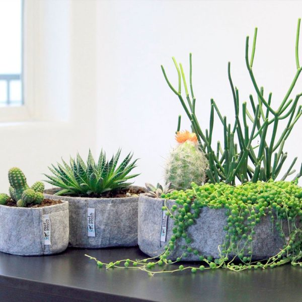 Pot géotextile pour succulentes et plantes grasses – Image 3