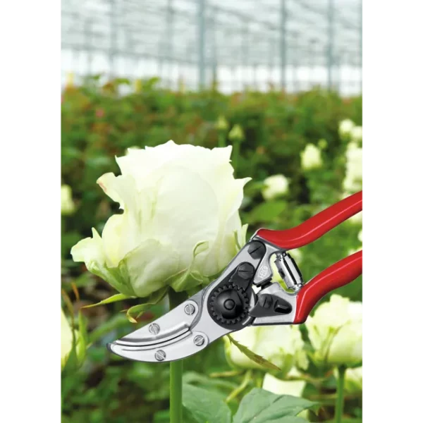 Sécateur cueille-fleurs Felco 100