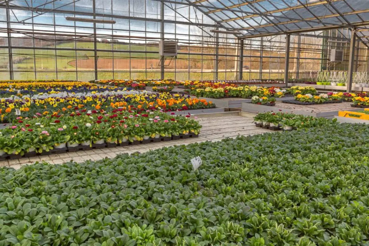 Jardinerie Kallenkoot