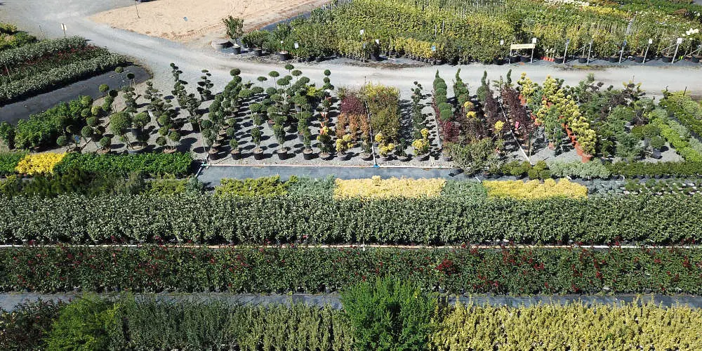 Vue a&eacute;rienne des P&eacute;pini&egrave;res de l'Authion