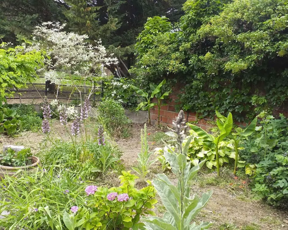 Conception de jardin réalisé par Alt Corporation