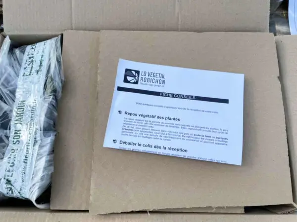 Exp&eacute;dition de plantes de la p&eacute;pini&egrave;re en ligne Fleurir-son-jardin