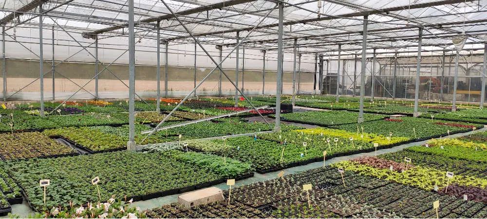 Site de production de Fleurir son jardin