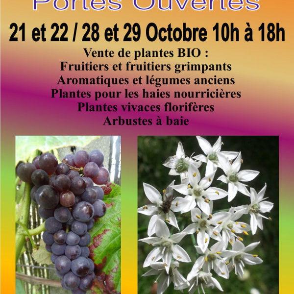 Portes ouvertes d'Octobre 2023 Spéciale Arbres Fruitiers le 21 et 22 / 28 et 29 de 10h à 18h à Saint-Vrain (91) Essonne