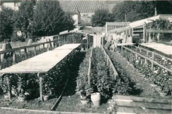 La jardinerie Ferri&egrave;re Fleurs dans les ann&eacute;es 20
