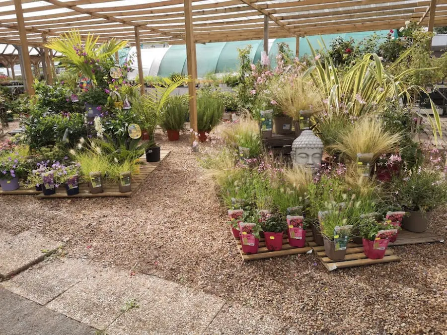 Les plantes de la Jardinerie Leroux