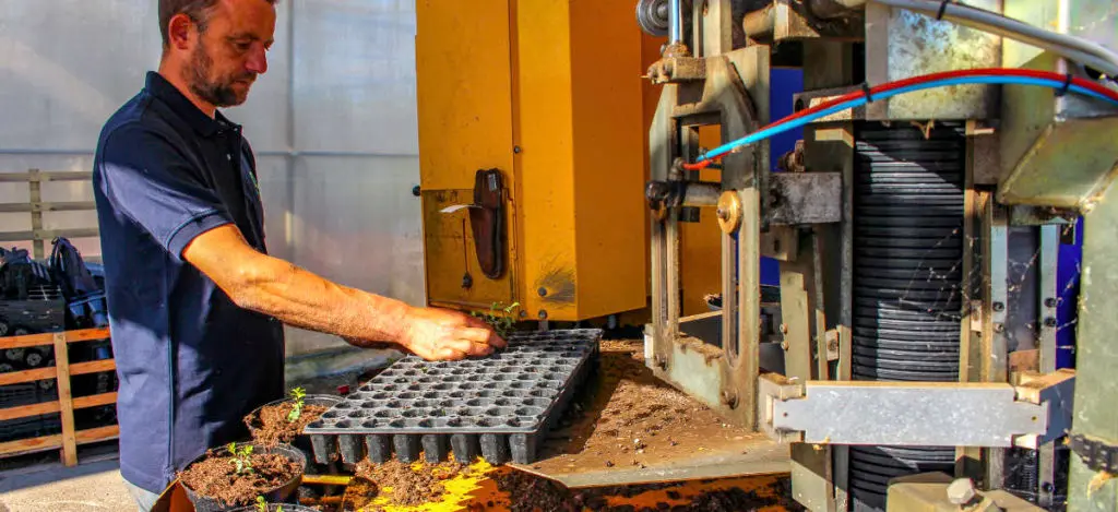 Les &eacute;tapes de production aux P&eacute;pini&egrave;res du Val d'Erdre