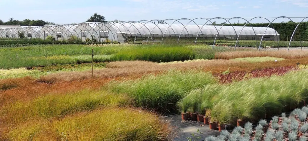 Zone de production de la P&eacute;pini&egrave;re du Val d'Erdre