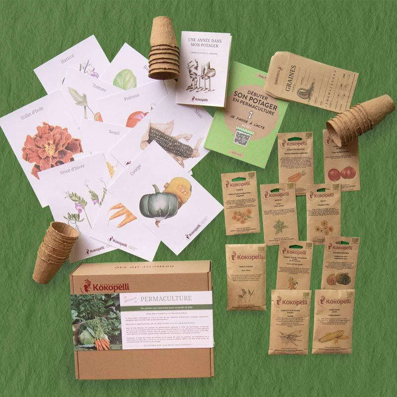 Box de graines bio et reproductibles - Légumes faciles