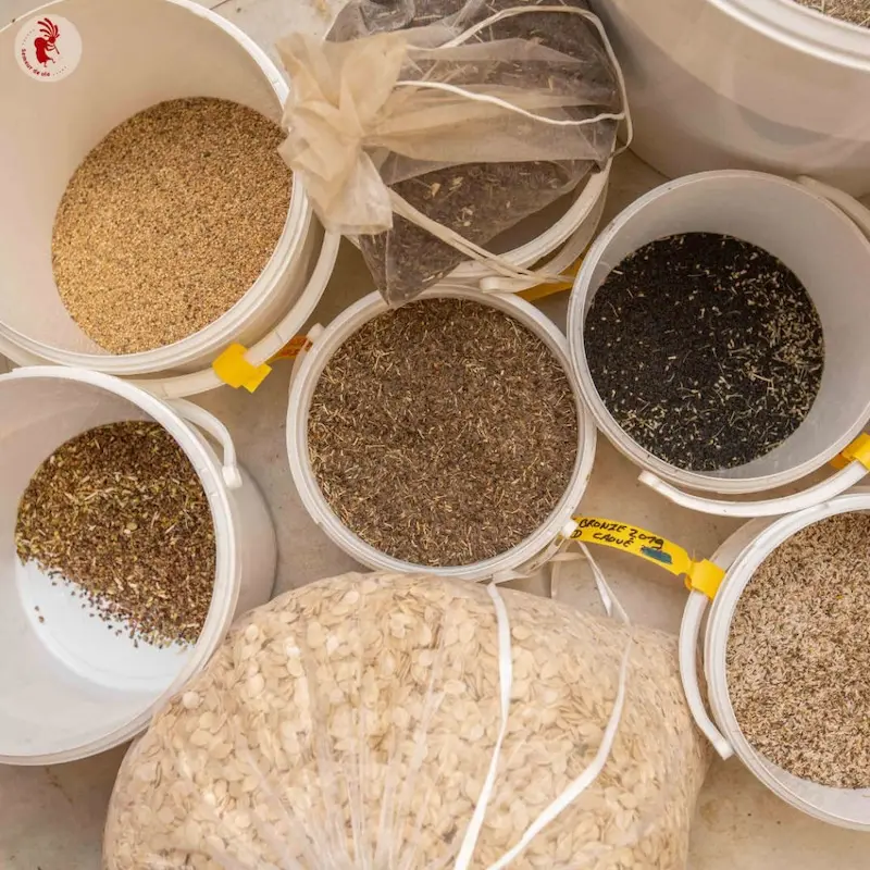 Production des graines Kokopelli