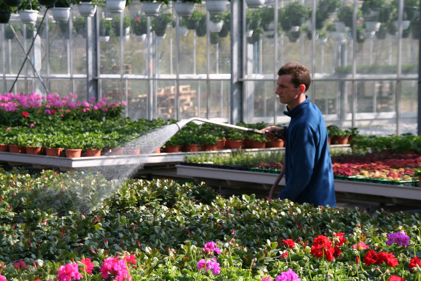 Au Jardin des Plantes, jardinerie familiale indpendante