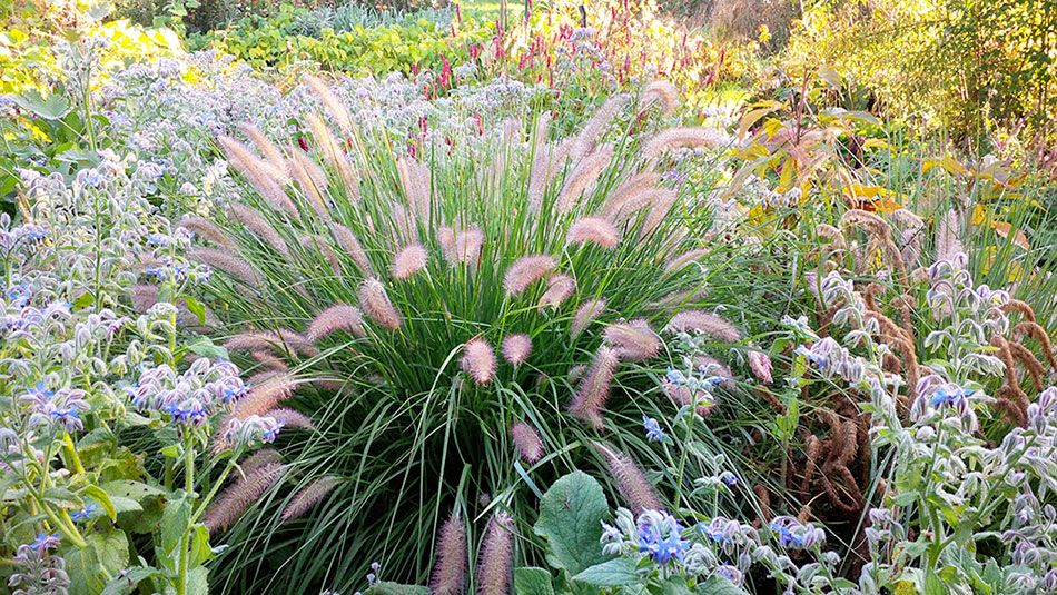 Le Jardin d'Adoué et sa pépinière