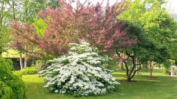 Le Jardin d'Adoué et sa pépinière