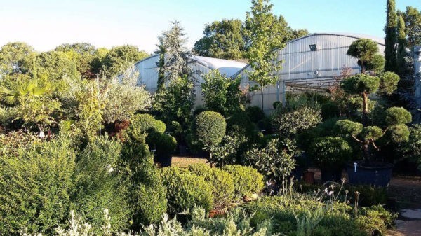 La Pépinière Terra Verde