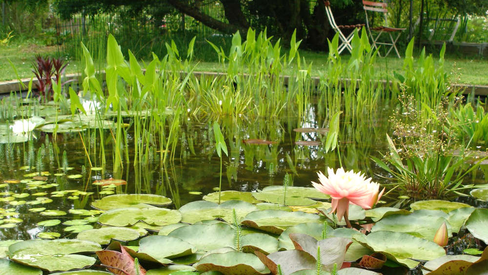 Les bassins naturels