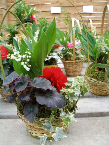 Les compositions florales