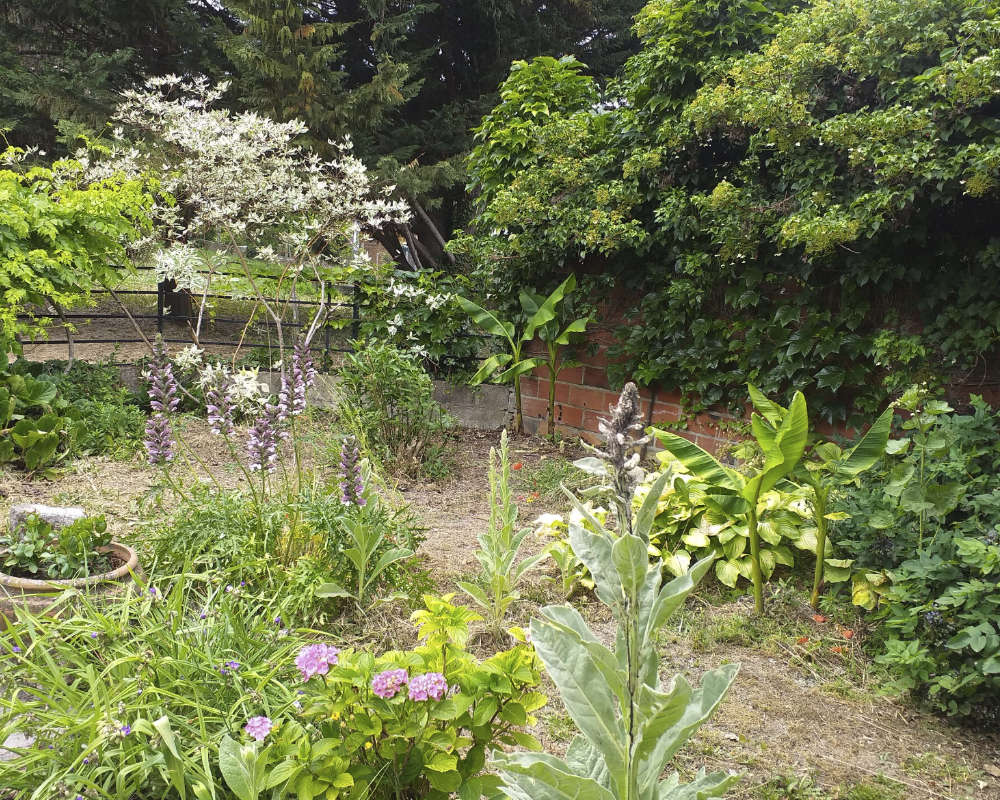 Création et aménagement de jardin