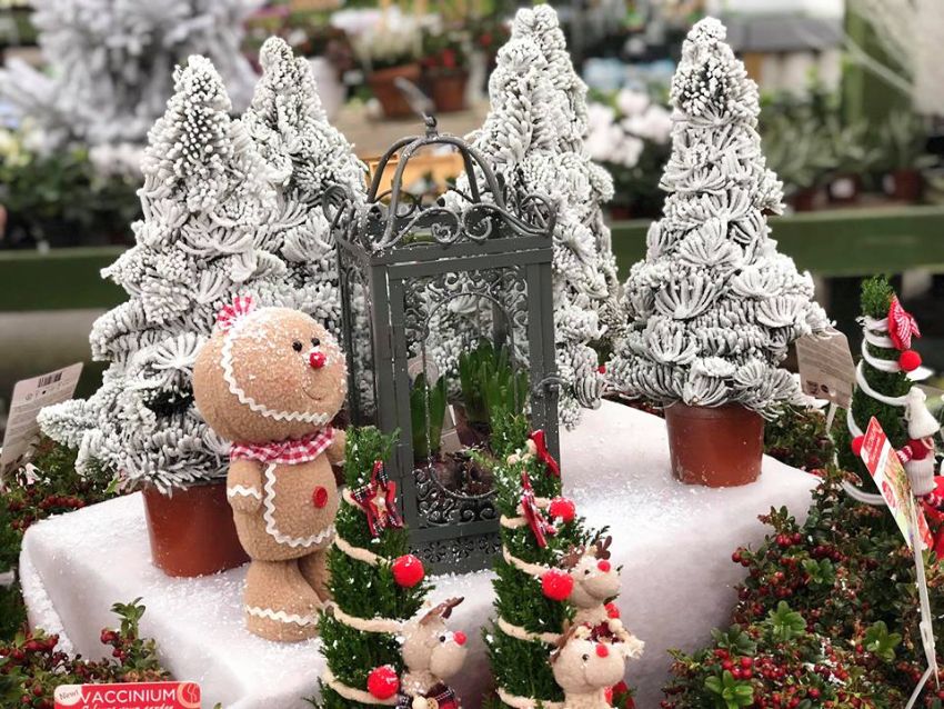 Décorations de Noël