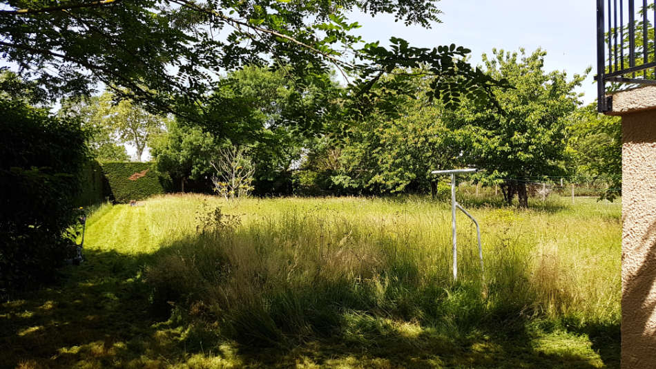 Entretien de jardin les Jardins Bienveillants