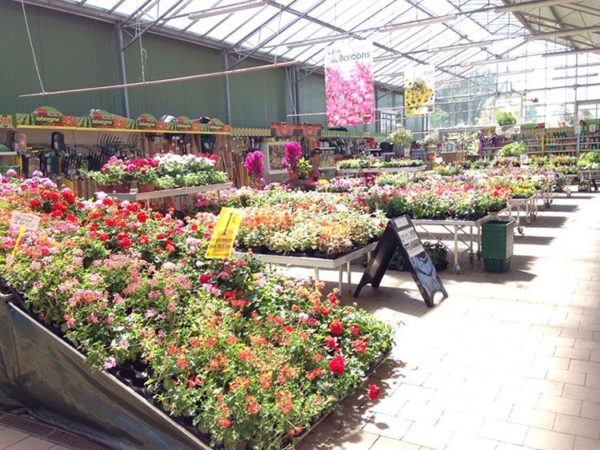 Le marché aux fleurs