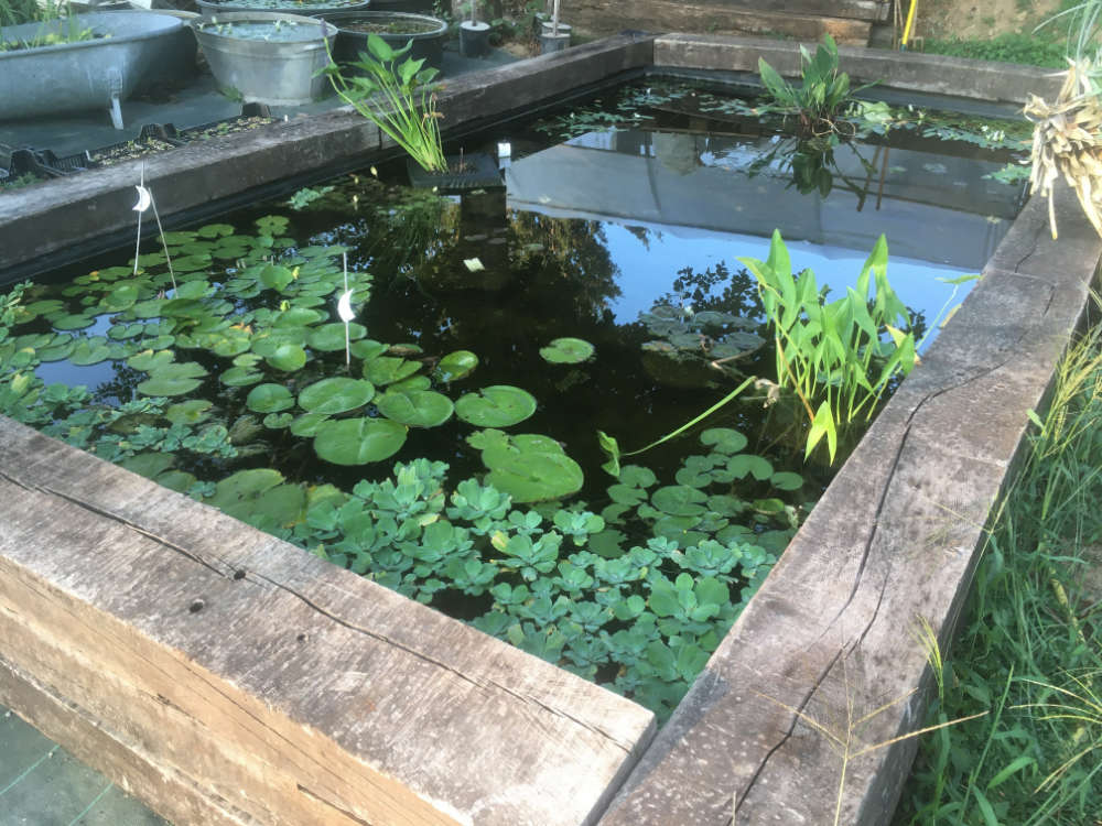 Les bassins naturels