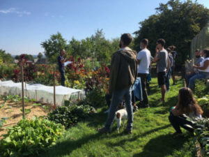 Les formations aux Jardins Kit'Éco