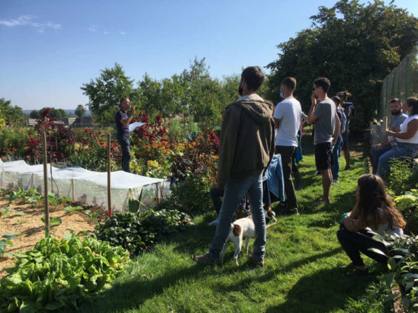 Formations en permaculture des Jardins Kit'Éco