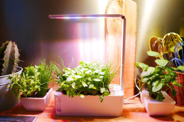 Octopousse, le potager d'intérieur